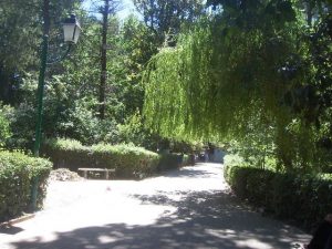 الحديقة العمومية 24 فيفري بمليانة1