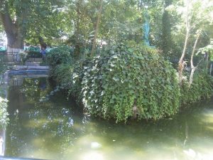 الحديقة العمومية 24 فيفري بمليانة4