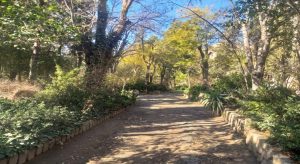 حديقة الأمير عبد القادر