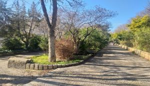 حديقة الأمير عبد القادر2