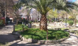 حديقة ساعد رفاوي 4بارال