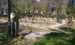 حديقة ساعد رفاوي بارال